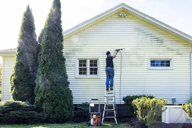 Best Pressure Washing Driveway  in Clute, TX