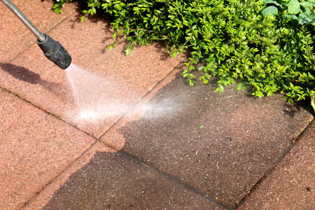 Best Power Washing Near Me  in Clute, TX